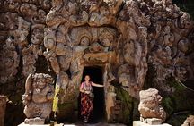 Ubud iconic waterfall and temple tours