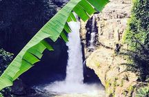 Ubud iconic waterfall and temple tours