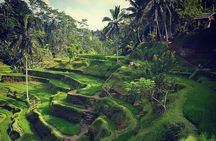 Ubud iconic waterfall and temple tours