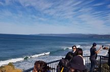 Private 12 Apostles or Melbourne Tour - Shore Excursion