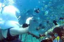 Bali Ocean Walker