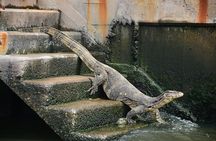 Timeless Thonburi Canal and Food Tour