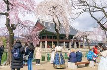 Seoul City Tour - Free Photo Service 
