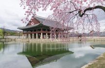 Seoul City Tour - Free Photo Service 