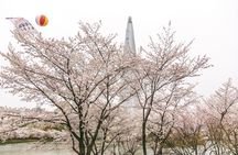 Seoul City Tour - Free Photo Service 