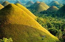 Chocolate hills tour with Tarsier & Loboc river Buffet Lunch (half-day tour)