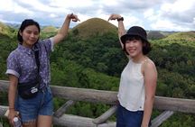 Chocolate hills tour with Tarsier & Loboc river Buffet Lunch (half-day tour)