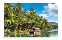 Chocolate hills tour with Tarsier & Loboc river Buffet Lunch (half-day tour)