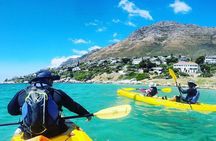 Kayak to the penguins in Simons Town