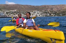 Kayak to the penguins in Simons Town