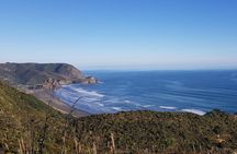 West Coast Discovery - Piha Beach or Muriwai Beach from Auckland