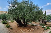 Holy Land Gateway: Haifa Port to Jerusalem & Bethlehem