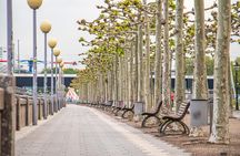 Discover Dusseldorf’s most Photogenic Spots with a Local