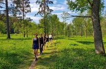 Discover Best Of Gauja National Park In One Day