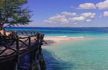  Group Tour to Prison Island and Nakupenda Sandbank