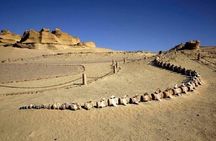 Fayoum Oasis & Wadi Al Rian Day Tour from Cairo