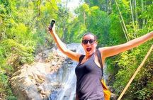 Top Pick - Full or Half Day @Elephant in Wild Sanctuary ChiangMai