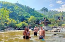 Top Pick - Full or Half Day @Elephant in Wild Sanctuary ChiangMai