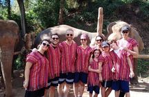 Top Pick - Full or Half Day @Elephant in Wild Sanctuary ChiangMai