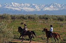 Horse riding in the desert of Marrakech