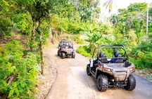 Triple fun! Monkeyland + Damajagua Waterfalls + Buggies from Puerto Plata
