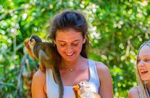 Triple fun! Monkeyland + Damajagua Waterfalls + Buggies from Puerto Plata