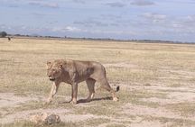 Amboseli Overnight Trip