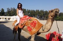 Desert Budget Tour
