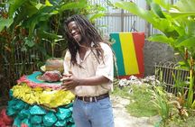 Jamaica Combo Tour: Dunn's River Falls and Bob Marley’s Nine Mile