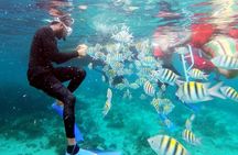 Party Catamaran: OpenBar, Music, Negril Beach, Rick's, Snorkeling