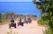 Cabo Candelaria Village Adventure + Tequila Tasting