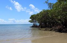 From Cairns: Cooktown, Daintree & Outback 3 Day Small-Group Tour