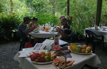 From Cairns: Cooktown, Daintree & Outback 3 Day Small-Group Tour