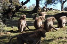 Addis Ababa City Tour