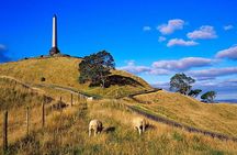 Auckland City Private Tour for Couples. Be chauffeur driven with added extras.