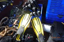 V.I.P Snorkeling & Fishing Tour ( Speed Boat ) Minimum 02 people 