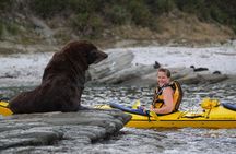 Sunset Evening Kayaking Tour - Kaikoura