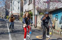 2.5 Hour-Guided Cycle Tour in the Central Tokyo