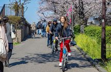 2.5 Hour-Guided Cycle Tour in the Central Tokyo