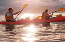 Private Wildlife Kayaking Tour - Kaikoura