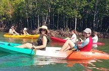 Sea Cave Kayaking and Island Hopping With Small Group From Koh Lanta