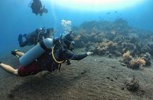 Fun Diving Tulamben Bali - For Certified Divers