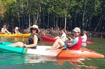 Sea Cave and Mangrove Forest Kayaking Tour From Koh Lanta