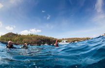 Fun Dive Nusa Penida Bali - For Certified Divers