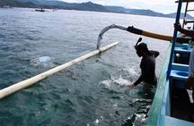 Snorkeling Tour at Blue Lagoon with Private Hotel Transfer 