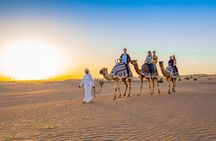 Standard Desert Safari 4X4 Pickup & Drop with Dinner & Live Shows