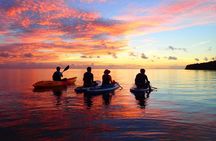 Okinawa Iriomote Sunset SUP or Canoe Tour in Iriomote Island