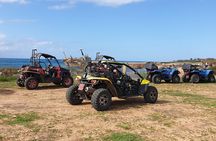 Half-Day Buggy Safari to Akamas Peninsula with Lunch 