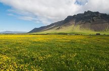 Reykjanes peninsula