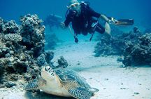 Intro Diving In Sharm El Sheikh